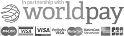 Worldpay payment option logo
